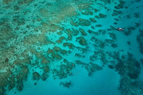 Cairns Great Barrier Reef Snorkel and Flight Adventure in Cairns