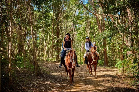Kuranda 60 minute Horse Trail Ride and Petting Farm in Cairns