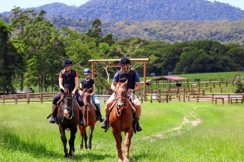 Horse and Quad bike tour with a visit to a Petting Zoo in Cairns