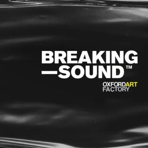 Breaking Sound ft. For Your Safety, sprawler, Overboard & Dagger Child at Gallery Bar, Oxford Art Factory