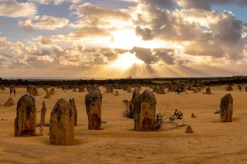 Half Day Pinnacles Sunset Tour in Perth