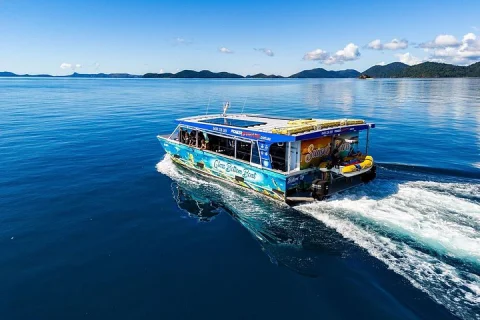 Airlie Beach Glass Bottom Boat Tour in Airlie Beach & Cannonvale