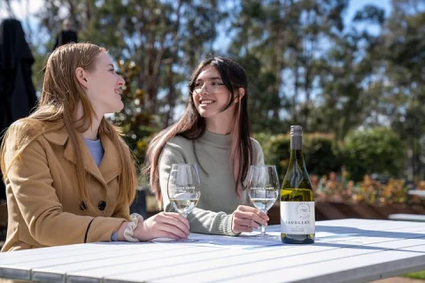 Award Winning Hunter Valley Wine & Cheese Tour from Sydney in Sydney