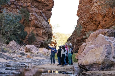 Half Day West MacDonnell Ranges Morning Tour: From Alice Springs in Alice Springs
