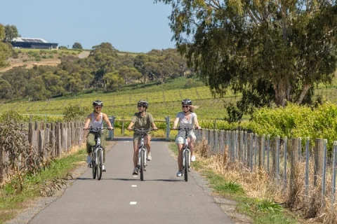 Discover McLaren Vale on eBikes Full Day in McLaren Vale