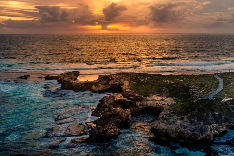 Rottnest Island Seals Sunset and West End Bus Tour in Rottnest Island