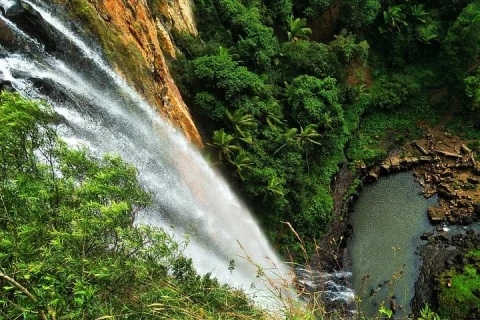 Glow Worms + Day/Night Rainforest & Waterfalls Experience in Gold Coast