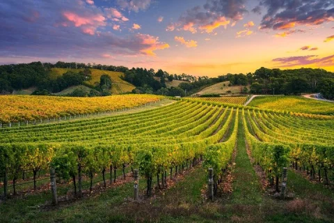 【Adelaide】 5 Days Explore Package in Adelaide