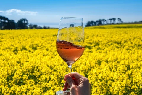 Private Shore Tour: Bellarine Peninsula Wine Experience in Geelong
