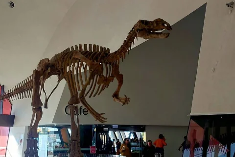 Canberra Private Day Tour in Sydney