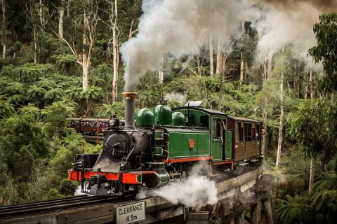 Puffing Billy Train and Phillip Island Penguin Parade Day Tour in Melbourne