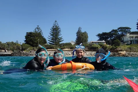 Port Phillip Bay Snorkeling with Sea Dragons in Portsea