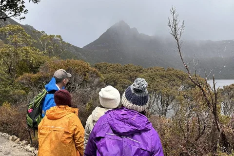 Cradle Mountain Day Tour: Dove Lake Guided Hike with Lunch in Launceston