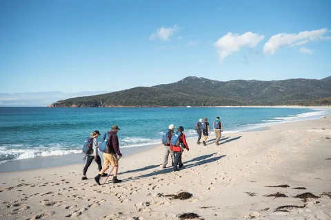 Freycinet Walking Tour in Coles Bay