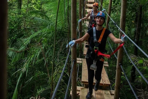Ziplining Cape Tribulation with Treetops Adventures in Cape Tribulation