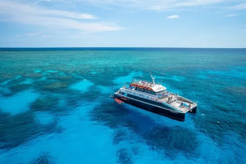 Great Barrier Reef with Cultural Guides Dreamtime Dive & Snorkel in Cairns