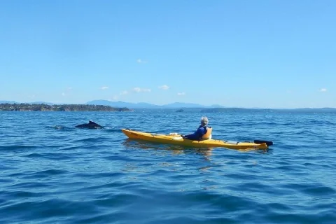 Whale Watching by Sea Kayak in Batemans Bay in Batemans Bay