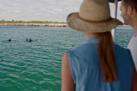 Guided Dolphin Eco Cruise in Koombana Bay in Bunbury