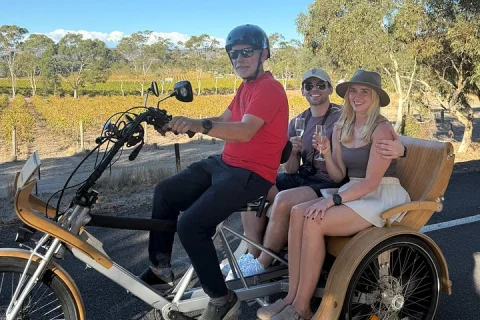 eTukTuk Adventure from Shirvington Wines McLaren Vale in McLaren Vale