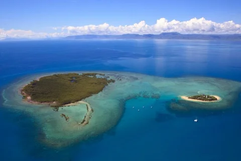 Half Day Low Isles Snorkelling Tour from Port Douglas in Port Douglas