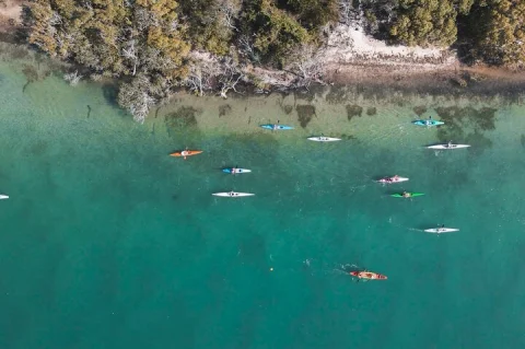 Mangroves and Mansions Guided Kayak Tour on the Noosa River in Sunshine Coast