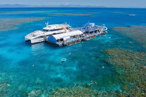Full Day Premium Tour to Sunlover Moore Reef and Fitzroy Island in Cairns