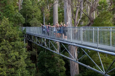 Hobart: Tahune Airwalk, Hastings Caves & Thermal Springs Pool in Hobart