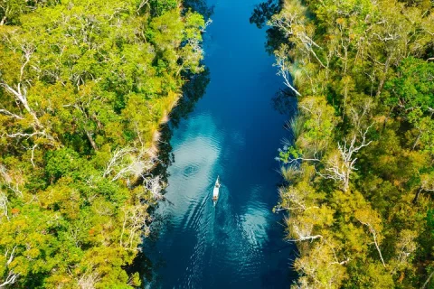 Everglades Explorer Noosa Everglades Tour in Sunshine Coast