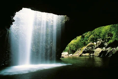 Springbrook Waterfalls & Natural Bridge Tour from Gold Coast in Gold Coast