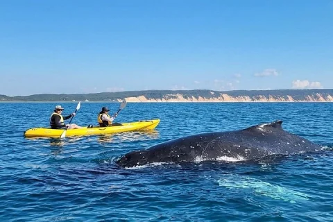 Noosa: Epic Whale Watching On Ocean Kayaks & Beach 4X4 Tour in Sunshine Coast