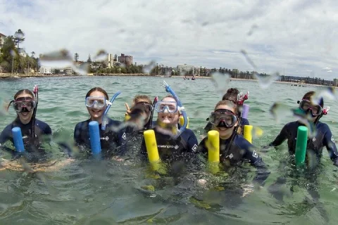 Guided Snorkel Tours in Sydney's Cabbage Tree Bay in Manly