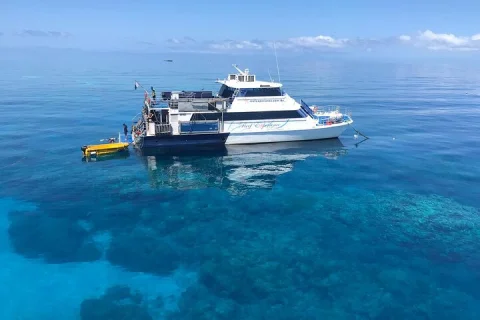 Cairns: All inclusive Reef Trip With Scuba Dive in Cairns
