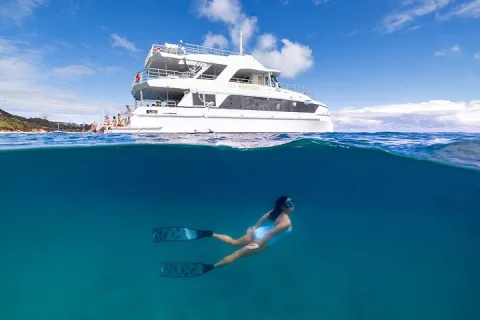 Moreton Island & Tangalooma Wrecks Snorkel Cruise Brisbane in Brisbane