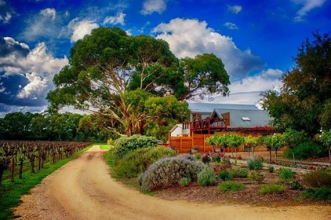 Langhorne Creek Wine Region Daytrip with Lunch from Adelaide in Adelaide