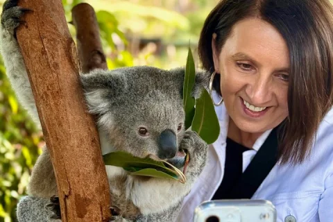 Sydney, Australian Reptile Park, Koalas, BBQ Lunch, Wine, Cheese in Woolloomooloo
