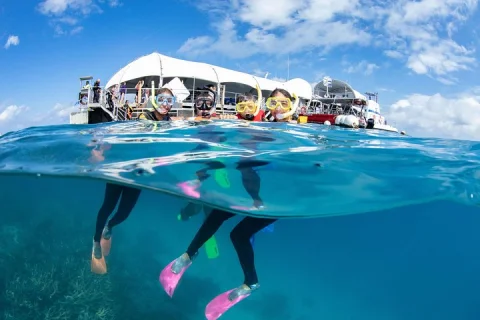 Great Barrier Reef Activity Platform with Snorkeling from Cairns in Cairns