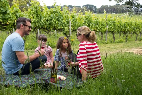 Mornington Peninsula Gourmet Full Day Private Tour in Melbourne