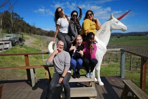 Yarra Valley Wineries Day Trip in Melbourne