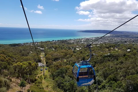 Peninsula Scenic Driving Tour in Melbourne