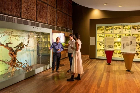 Hosted Tour of the Australian Wine Story in Adelaide