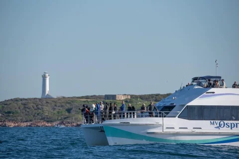 Port Stephens: Wild Port Stephens Cruise in Nelson Bay