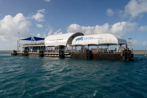 Great Barrier Reef Full Day Adventure in Airlie Beach & Cannonvale