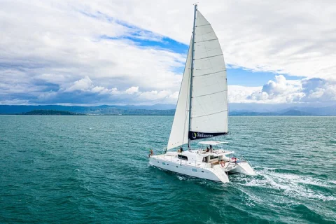 Afternoon Low Isles Snorkelling & Sunset Sail from Port Douglas in Port Douglas
