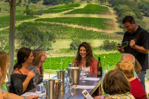 Private Luxury Tour: Tastes of the Hunter Valley in Sydney