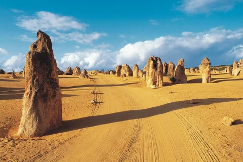 Pinnacles Desert, Koalas and Sandboarding 4WD Day Tour from Perth in Perth