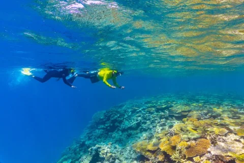 Great Barrier Reef Cruise from Townsville or Magnetic Island in Townsville
