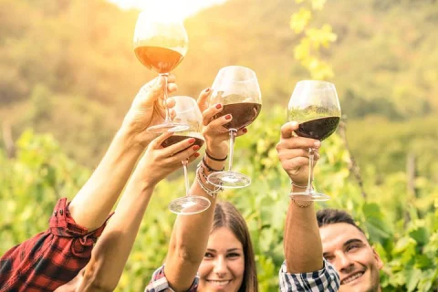 Barossa and Hahndorf Wine Tasting and Sightseeing Tour in Adelaide