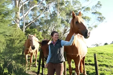 Brisbane Horse Care and Riding Experience in Brisbane
