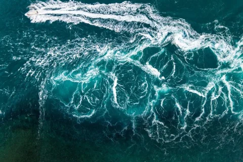 Cygnet Bay Sea Safari & Pearl Farm Tour Scenic Flight in Broome