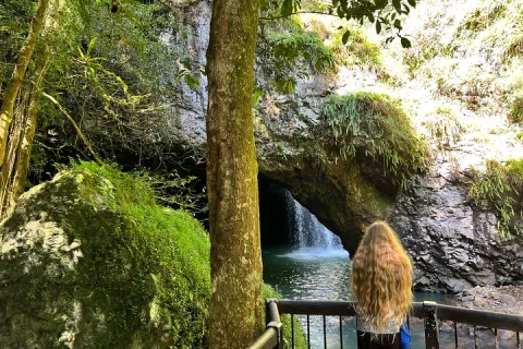 Deluxe Springbrook & Mt Tamborine Glow Worms and famous Skywalk in Brisbane